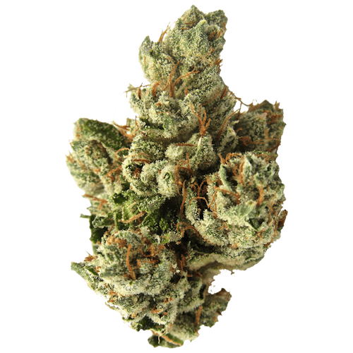 SFV OG Kush