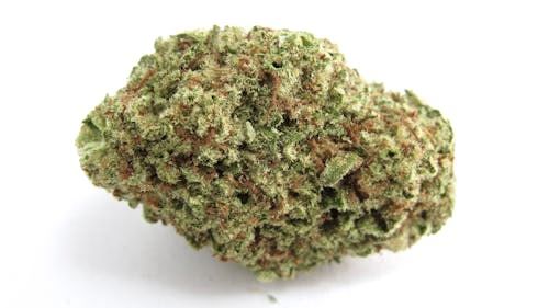 Papaya Punch