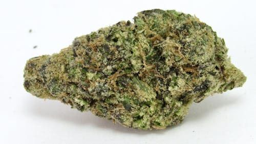 Tropical Burst