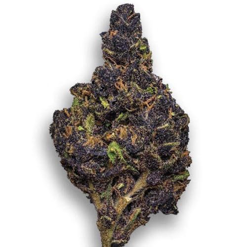 Canna Country #26