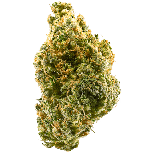 Tangie
