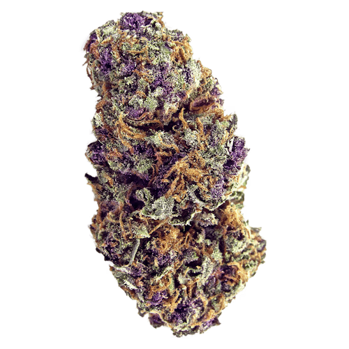 Purple Palm Tree Delight