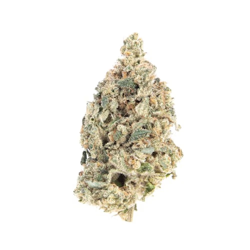 Pineapple Rose