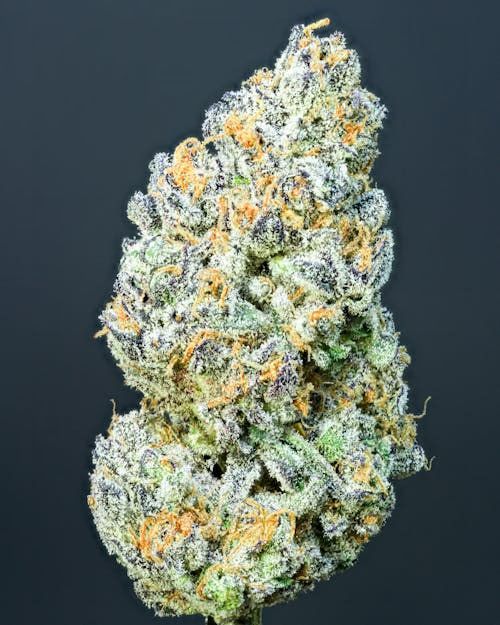 Sour Spreez