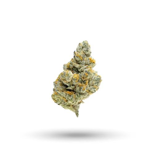 Aspen Dreamz