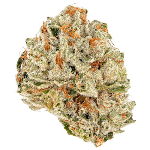 Sour OG