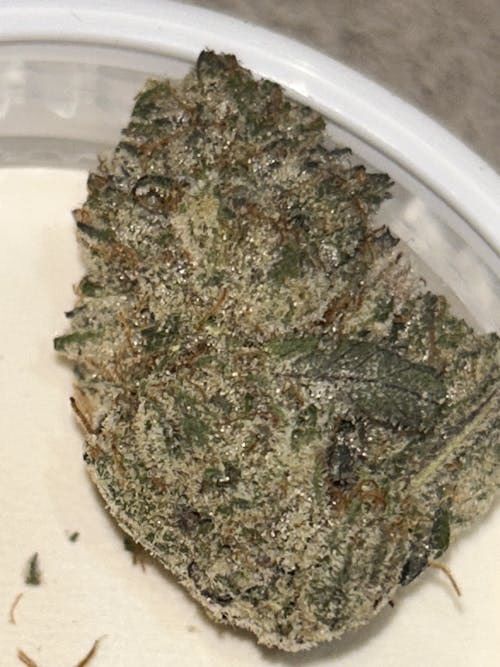 Juicy Berry