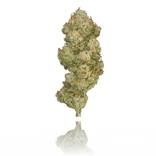 Saturn OG
