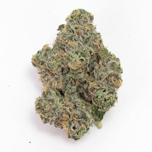 Blackberry Gary