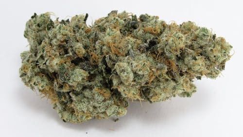 GMO-OG