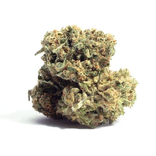 Sour Tsunami