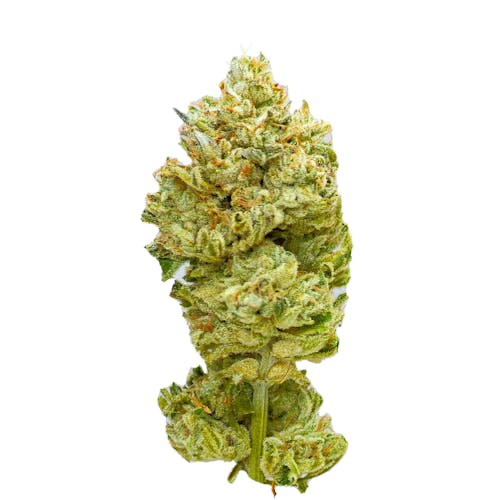 Mt. Citrus