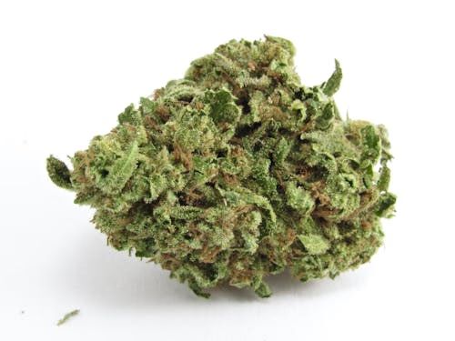 Chemdog #4 x Alien OG Kush