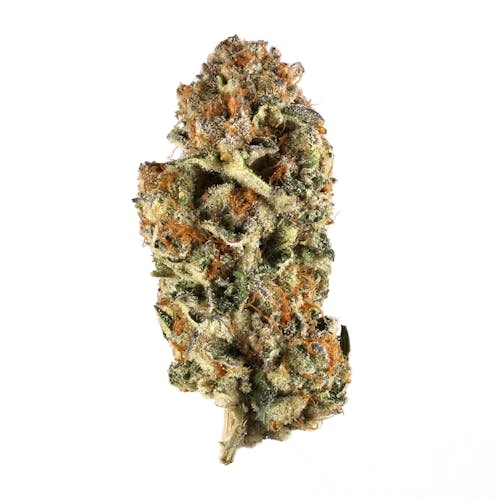 Boss OG