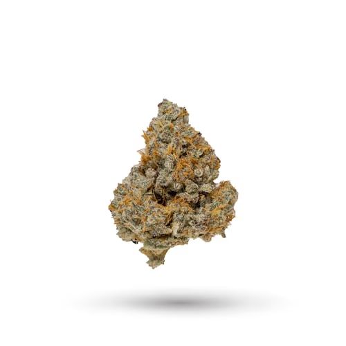 Colorado Creamsicle