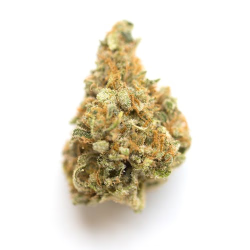 Beach Bum Haze
