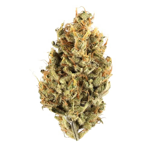 Black Gas