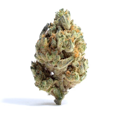 Alien Gorilla
