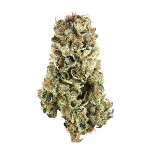 Aurora Haze