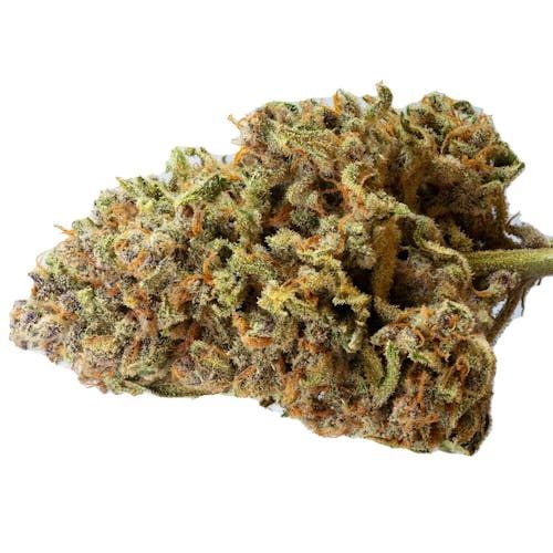 Papaya Zoap Auto