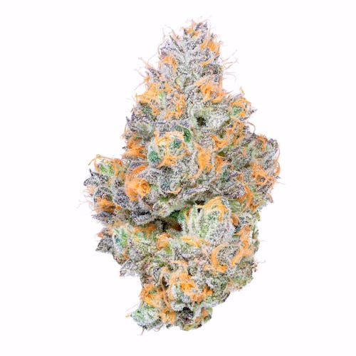 Tropical Z
