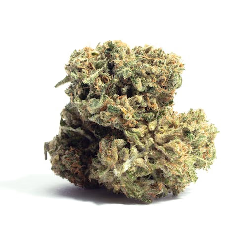 Alien Dawg