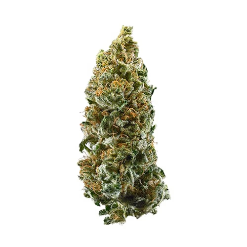 Afghan Haze