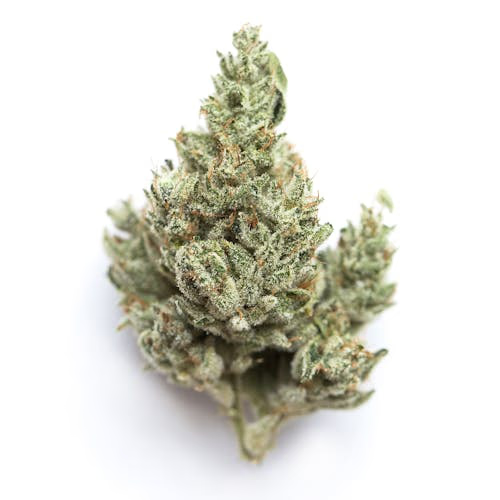 Lime OG