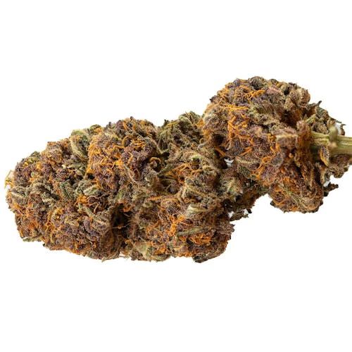 Diablo Rojo XL Auto
