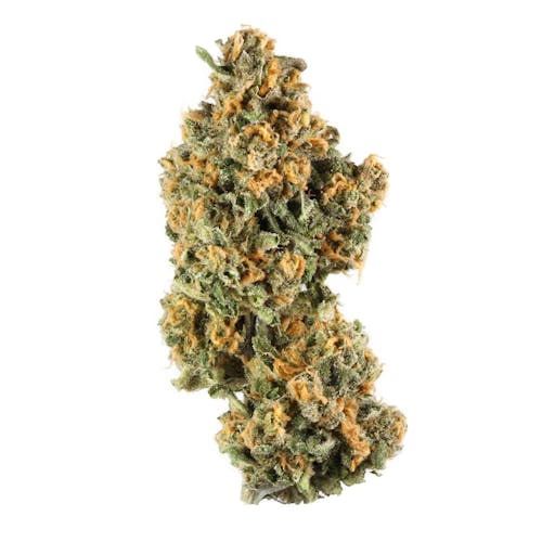 Pink Champagne