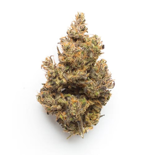 501st OG