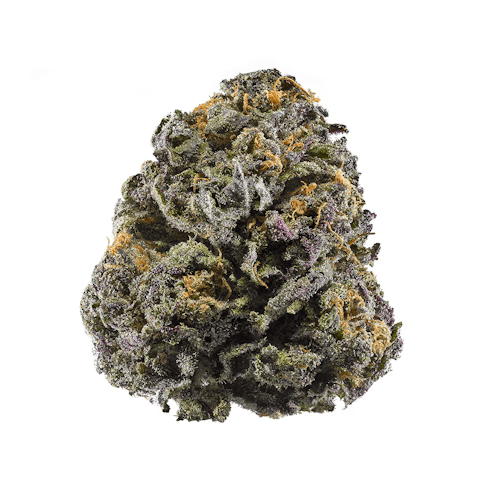 Black Zombie
