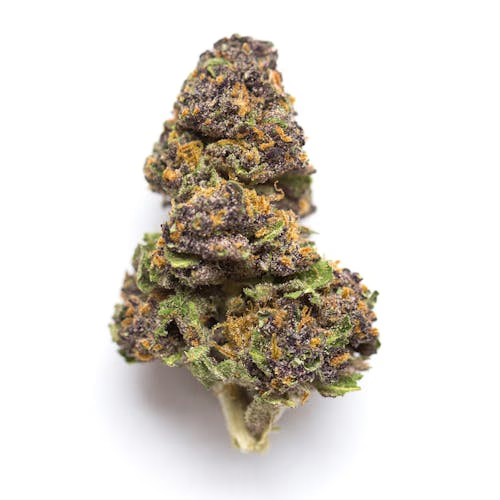 Agent Orange