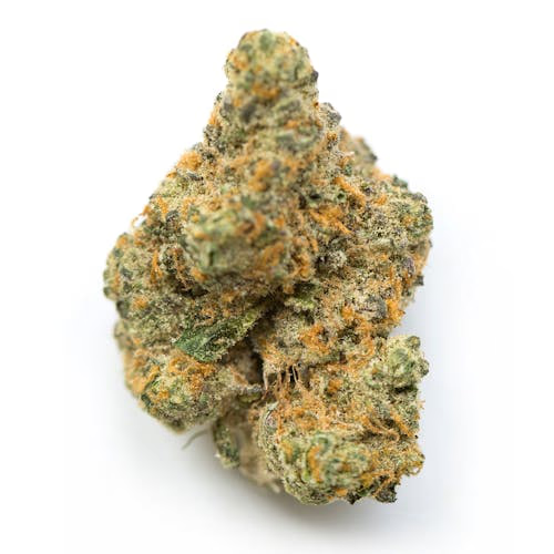 Anonymous OG