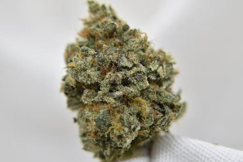 Heirloom Orange