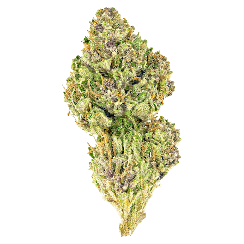 Pink Kush